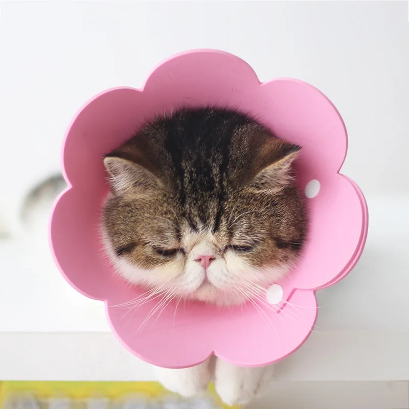 New Adjustable Rehabilitation Collar Sun Flower Neck Cat Comfortable Wearing Cute Safe Restored Collars Elizabethan Cats