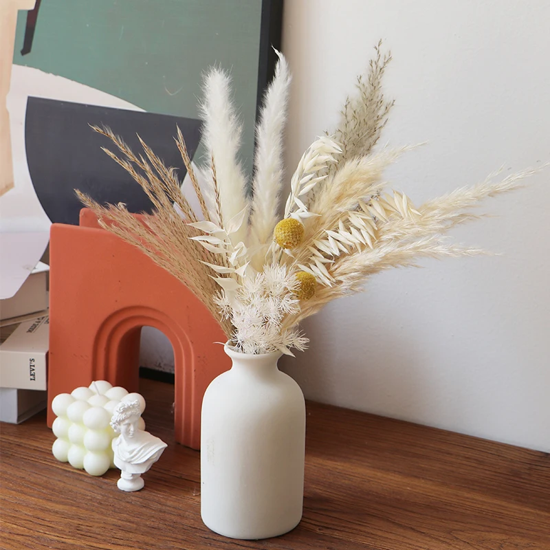 Dried Pampas Grass Bunny Tails Dried Flowers Small Reed Grass Bouquet for Wedding Arrangement Boho Flowers Home Table Decor