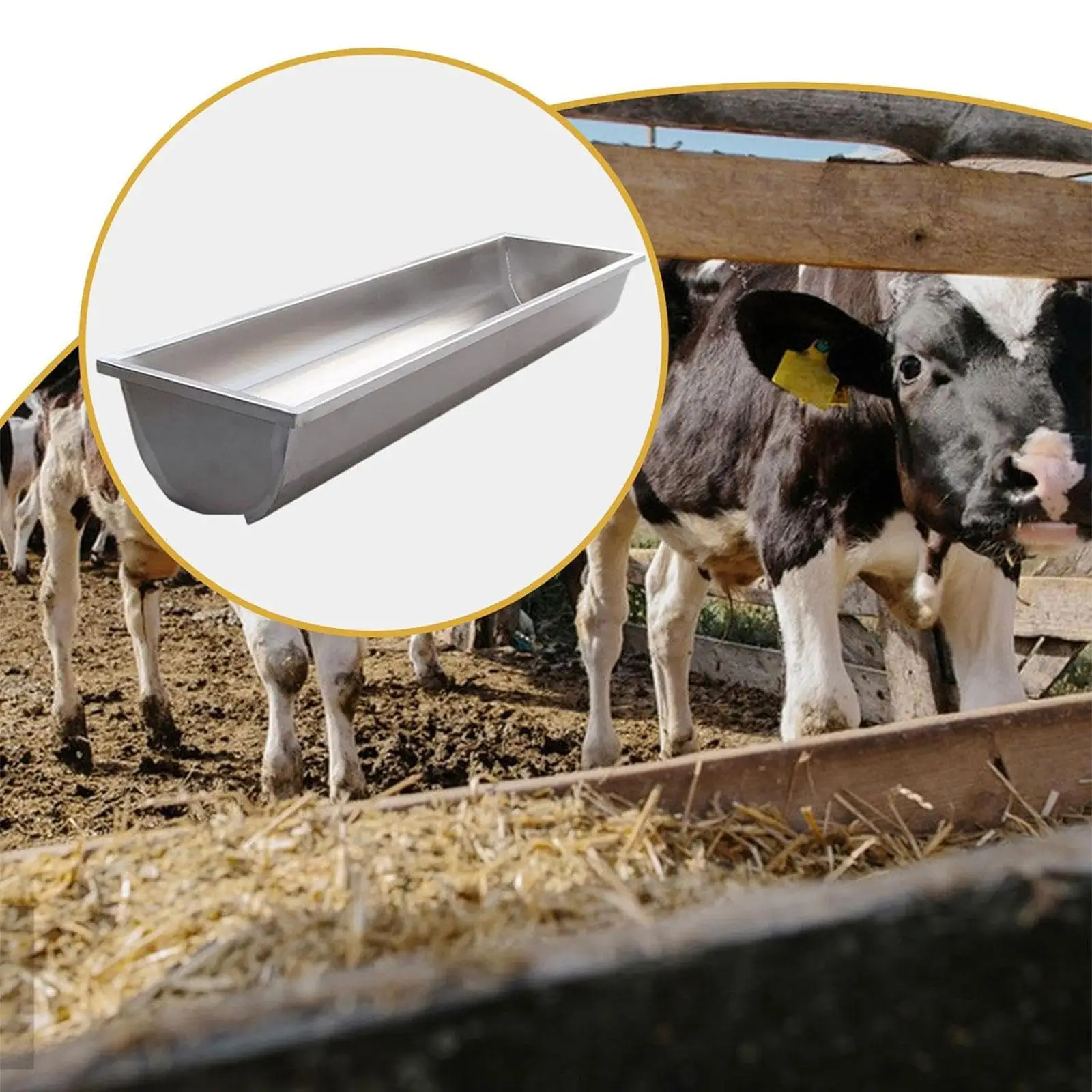 Thumbnail 4 - #30 Best Automatic Livestock Feeders to Buy In 2026