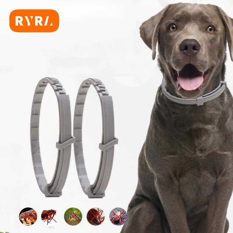 Collar antipulgas y garrapatas para perros, accesorios para mascotas, productos para mascotas, productos para cachorros