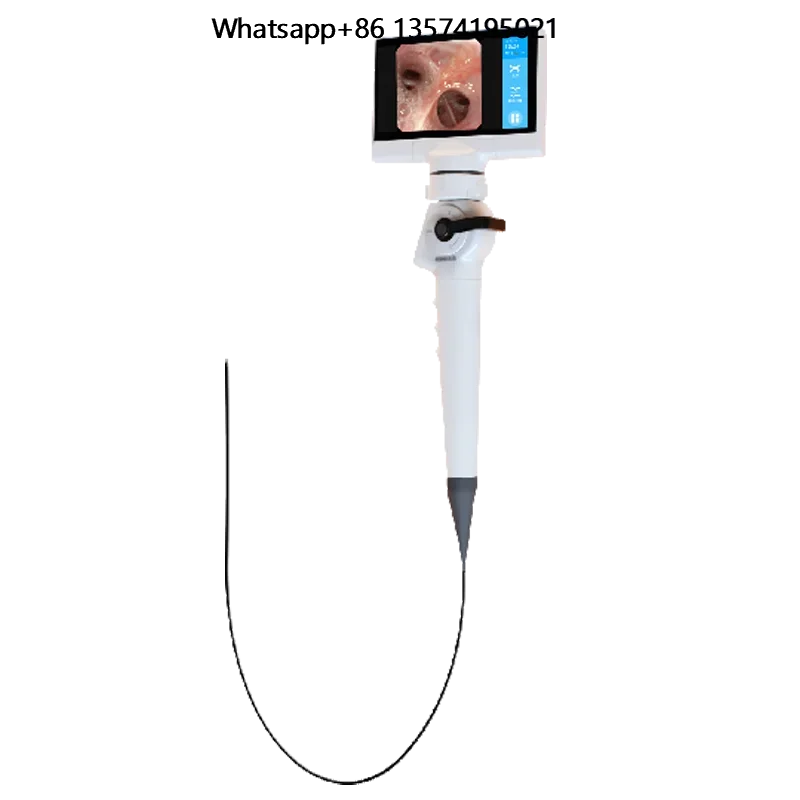 

Medical Kit Flexible Video Laryngoscopy with 5 Inch Large Touch Screen Flexible Laryngoscopy Price
