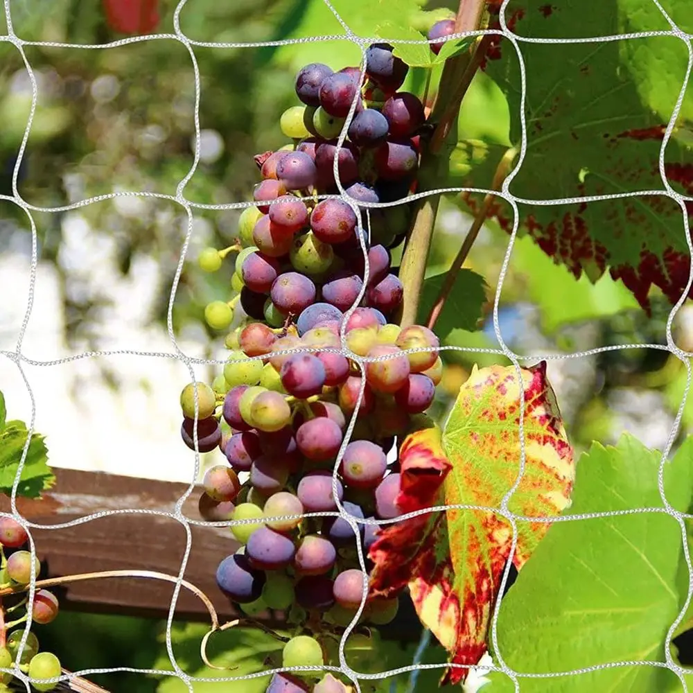 Heavy-Duty Polyester Garden Trellis Net Plant Support Netting for Climbing Plants Outdoor, Flexible String Net for Bean Pea, Whi