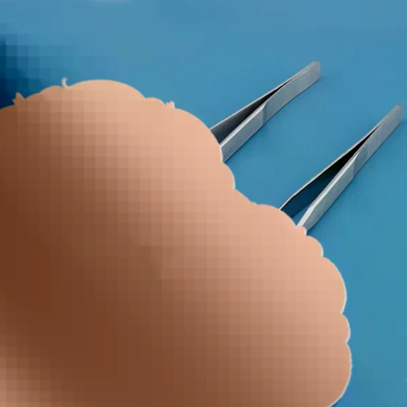 ملقط تغذية الزواحف من الفولاذ  - مراجعة Feeding Tong Stainless وسعره