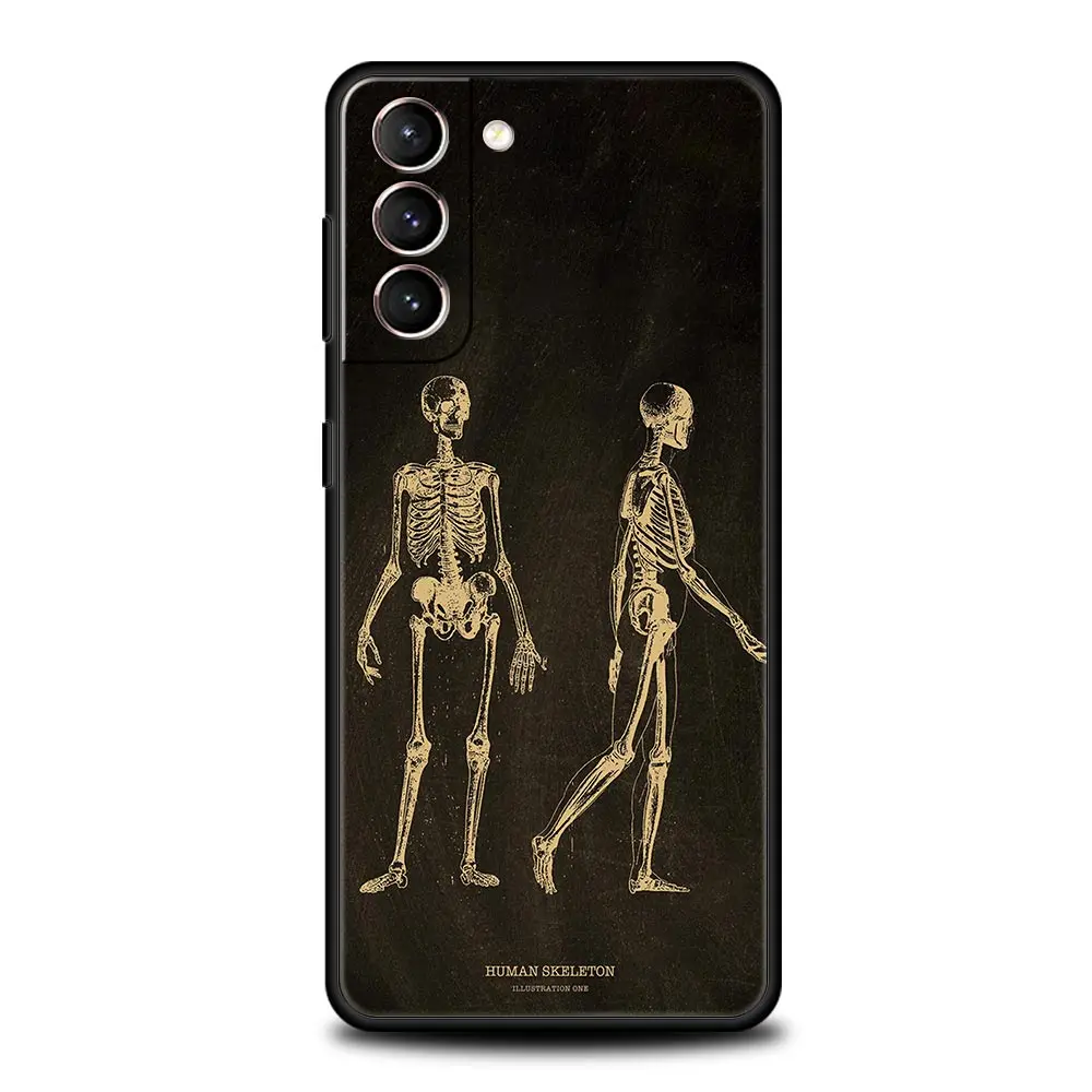 Anatomy Skeleton Chalkboard Body Heart Phone Case For Samsung Galaxy S25 S24 S23 FE S22 Ultra S20 S21 5G S10 Plus S10E Cover