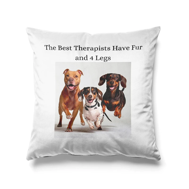 Aertemisi 18'' x 18''The Best Therapists Have Fur and Four Legs Square Throw Pillow Cushion Covers Cases Pillowcases 45cm x 45cm