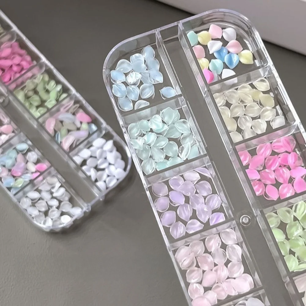 12 Grids/Box Nail Art Sequins Kit Transparent 3D Flower Petals Nail Art Glitter Set DIY Colorful Nail Charms Decorations
