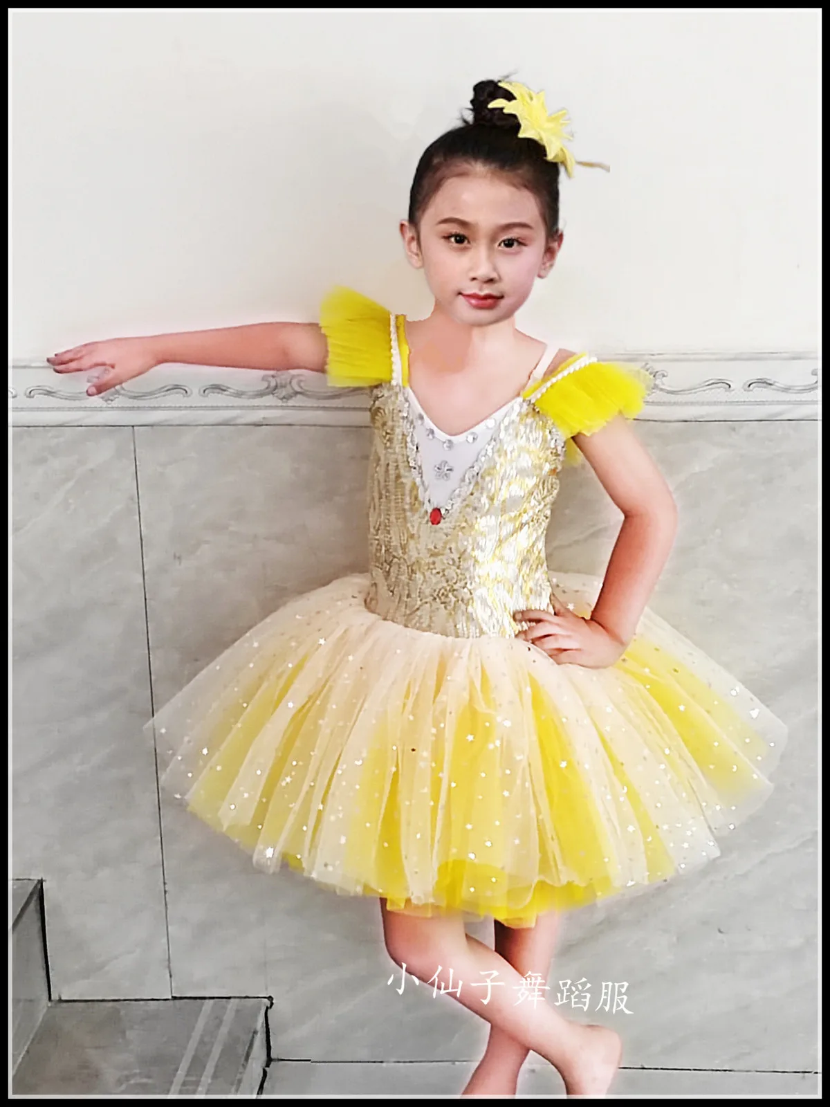 Vestido de Ballet profesional para niñas, tutú largo de tul, traje de bailarina de baile de rendimiento, cisne blanco