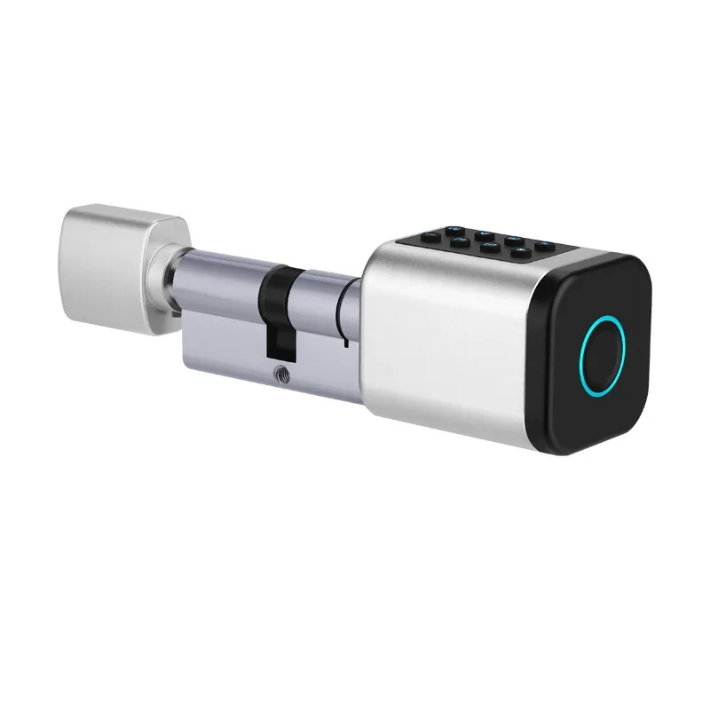 Smart lock Smart lock cylinder Graffiti Smart Bluetooth fingerprint lock
