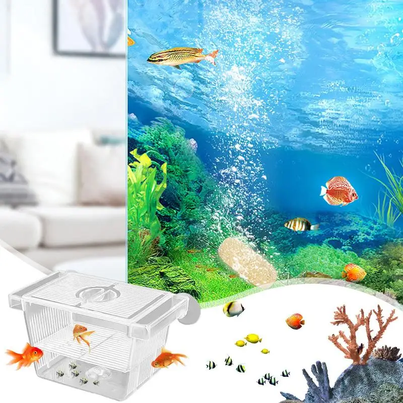 Fish Breeding Box Acrylic Hatchery Incubator Fish Tank Divider Aquarium Breeder Box Fish Acclimation Box Nursery for Injured