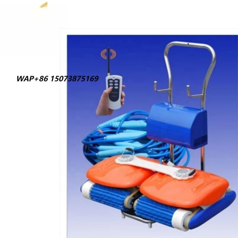 Chinese Factory Killer Whale Swimming Pool with Remote Control Automatic Cleaning Machine and Dirt