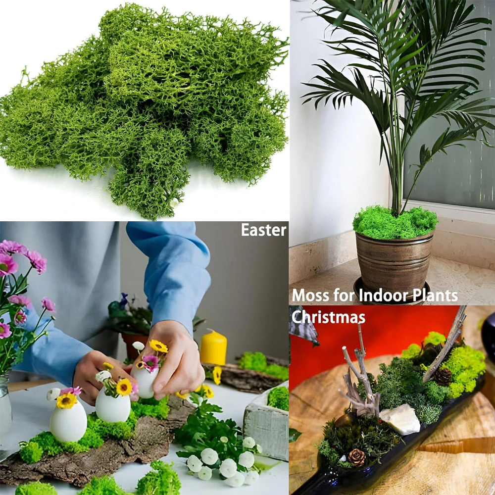 DIY Landscape Fake Grass Artificial Green Moss Plants Eternal Life Grass for Fish Tank Home Living Room Garden Decoration Crafts