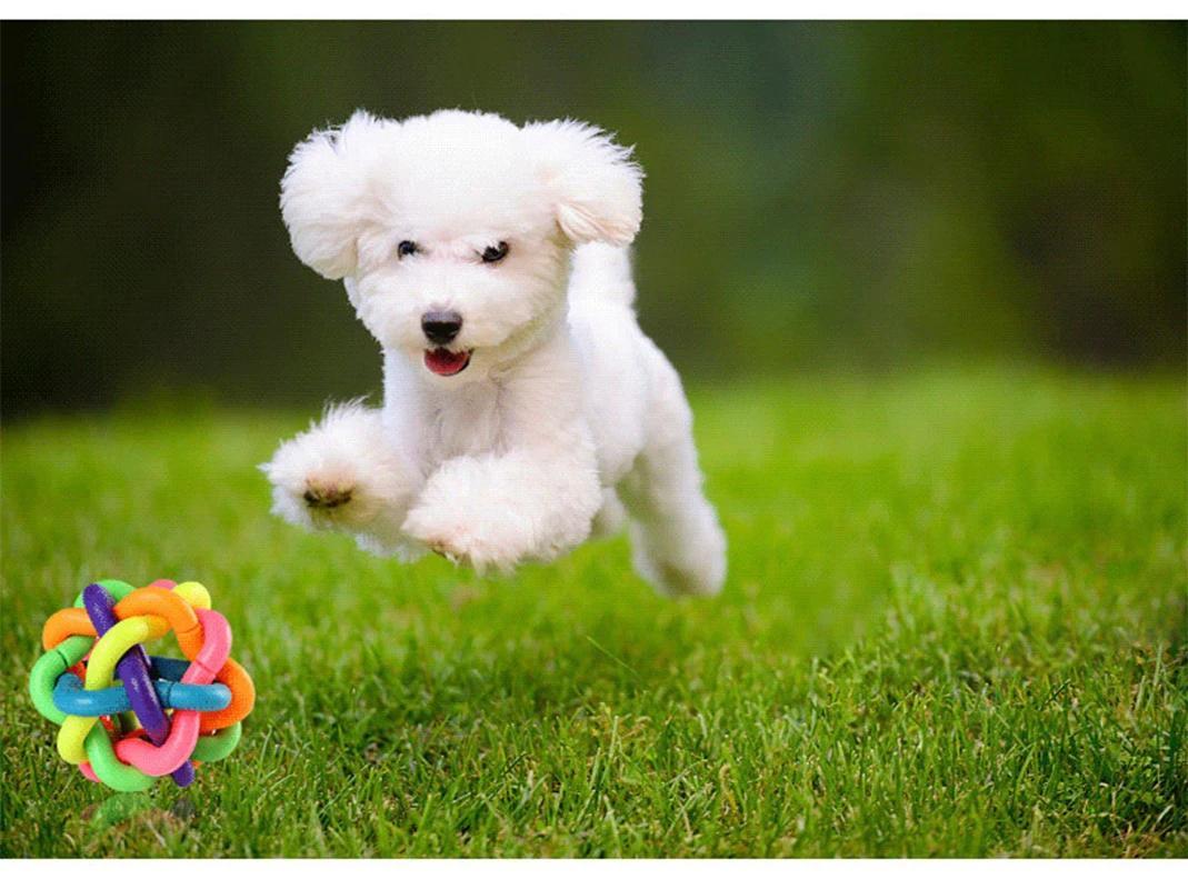 Colorful Bell Woven Toy Popular Dog Bite Resistant Rubber Pet Chewing Playing Fetching Nice Ball Products