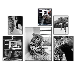 Luxury Jewelry Shop Leopard Poster Canvas Painting Wall Art Retro Black White Photography Modern Fashion Living Room Home Decor