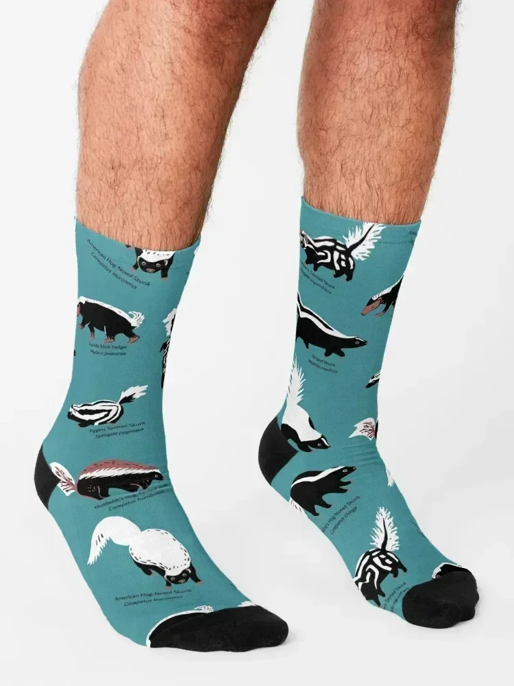 Skunks of the World: Species of Family Mephitidae Socks custom christmas gifts fashionable Running Boy Child Socks Women's