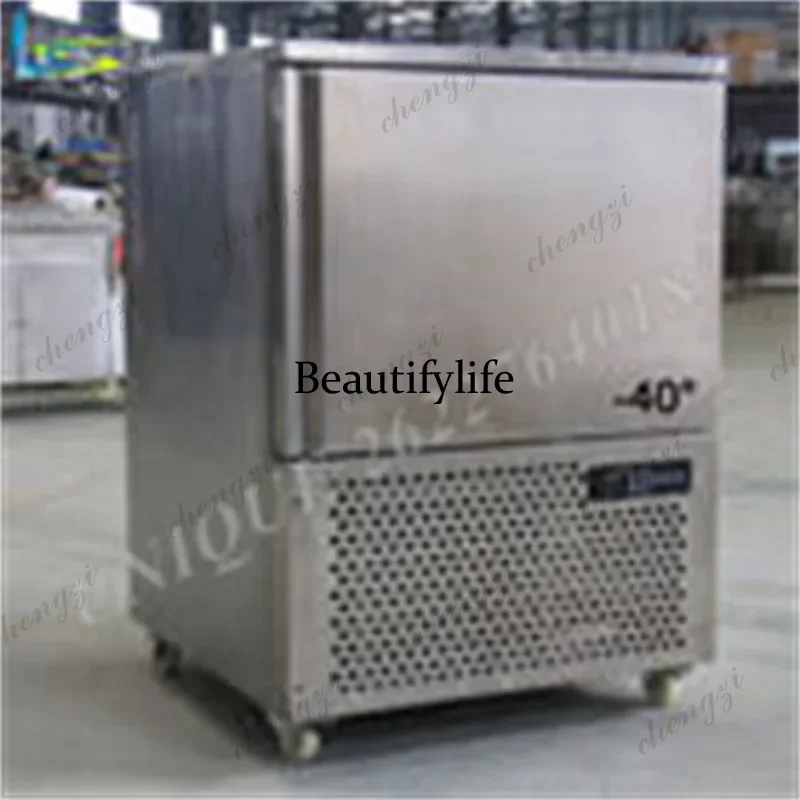 3-10 Tray Kitchen Quick Blast Freezer Commercial Fish Food Quick Upright Blast Freezer -40 Degree Frost Free Freezing