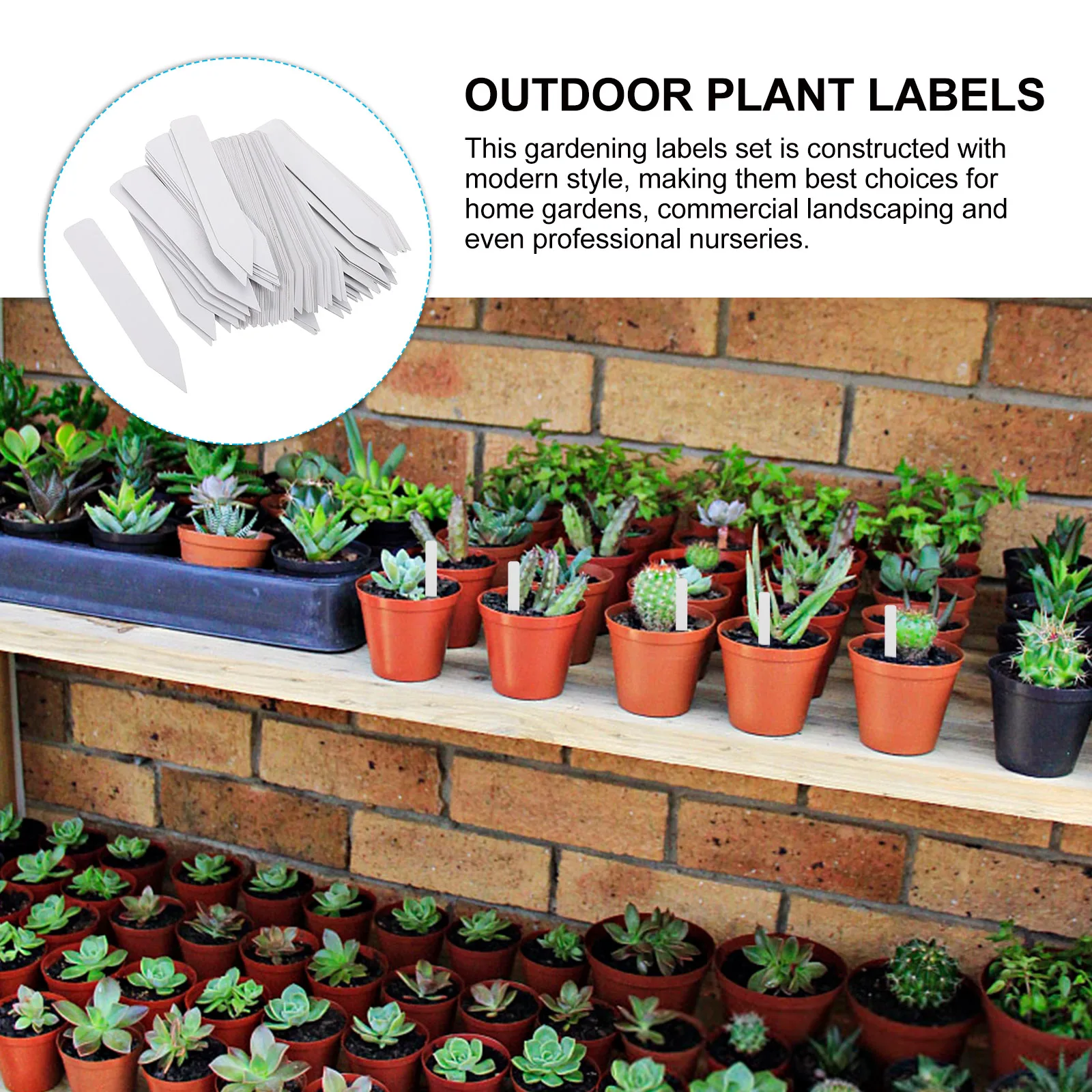 

100Pcs Waterproof Plant Labels Garden Markers for Succulents Herbs Vegetables Flower Pots Planting Identification