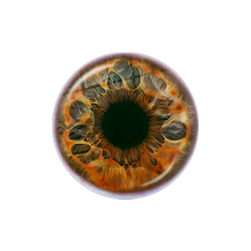 In Pairs Glass Eyes Cabochons 12MM-30MM Round Dome Dragon Eye Dragon Cat Eye Toys DIY Jewelry Accessory MIX Pupil Eye Cameo