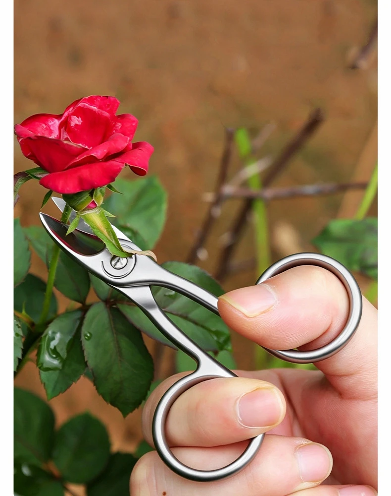 Bonsai Shear Stainless Steel Scissors Mini Pruners for Succulent Trimming Flower Arrangement Garden Pruning Hand Tools