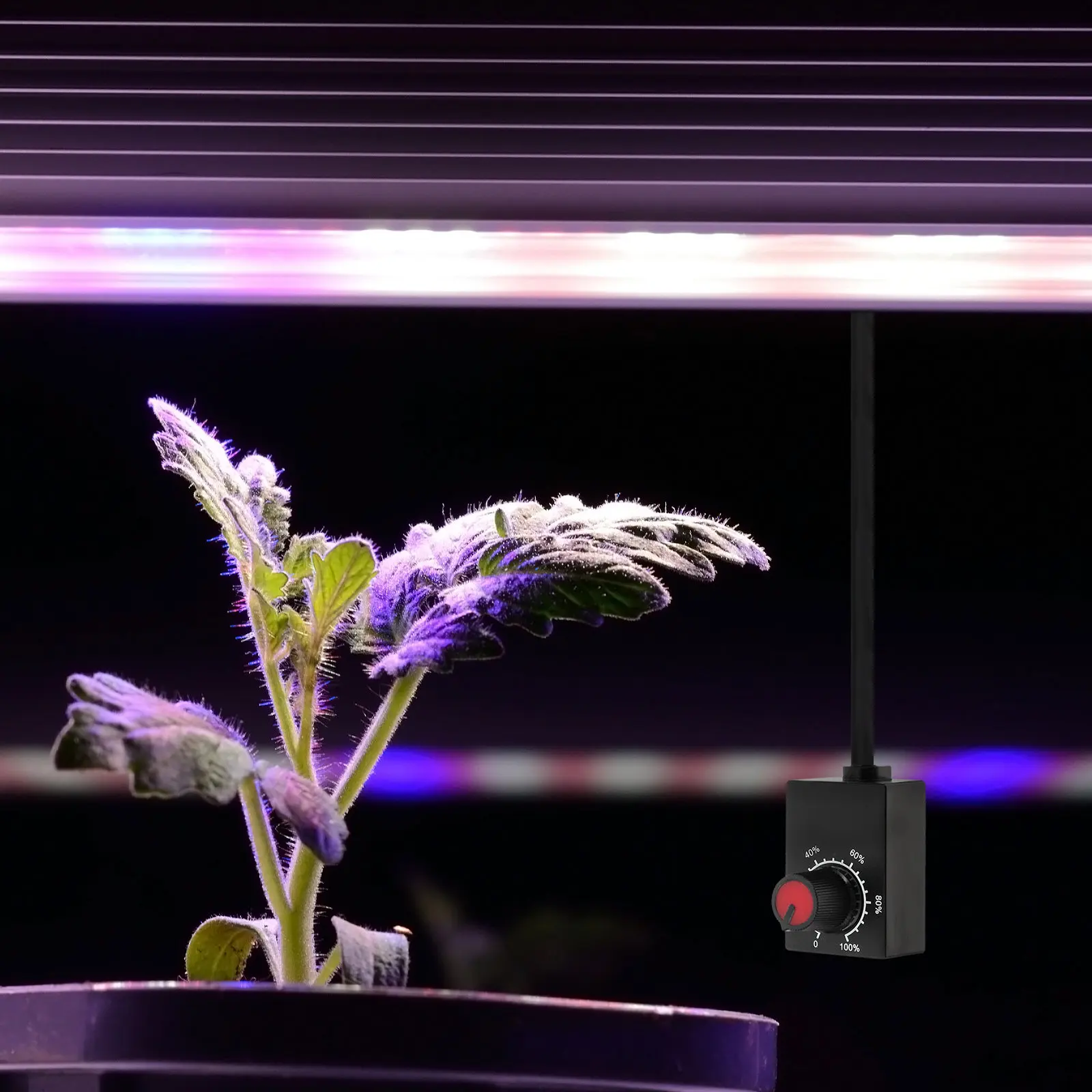 

Миниатюрный поворотный LED-диммер с клеммами для подключения, контроллер яркости для растений, диммер для освещения в помещении, для выращивания растений