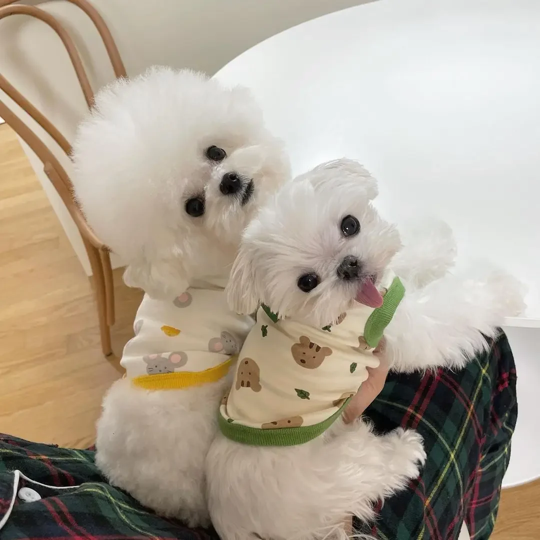 Herbst neue Haustier Bichon Hundekleidung Teddy Schnauzer Pomeranian Pudel kleiner Hund Deutsche Samt-Baumwollweste