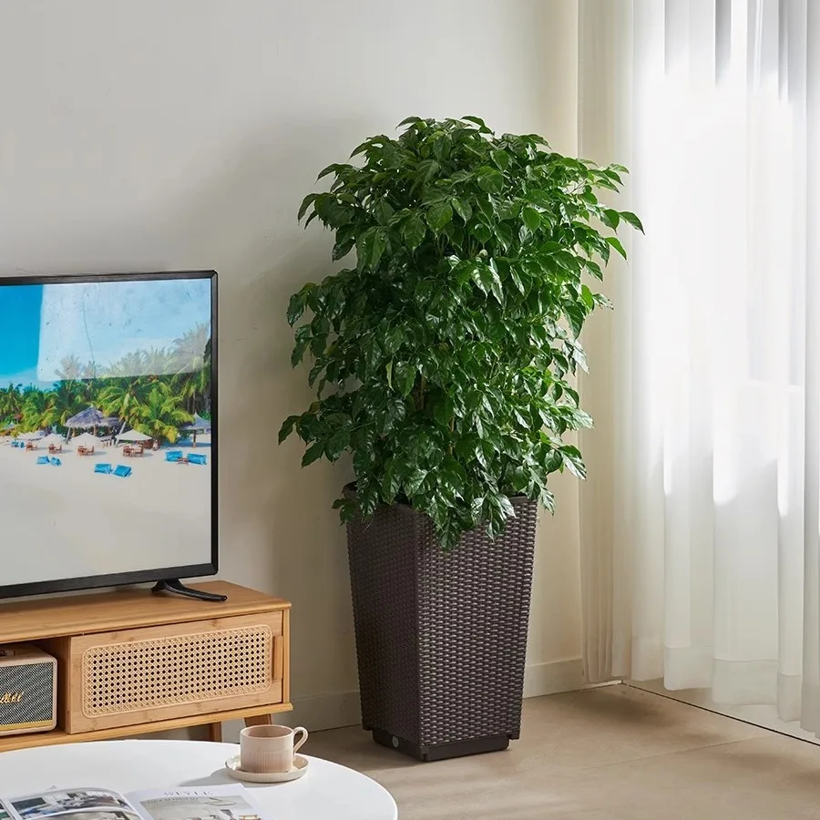 Flower box Flower pot Household large planting box Flower slot Balcony Rectangle Simple fashion Light luxury Living room
