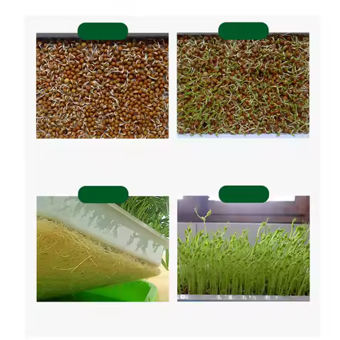 Sprouter Tray Seedling Soil-Free PP Material Grid Design Ventilation Anti Rot Root High Sprout Rate Growing Tray 35x26x5cm Green
