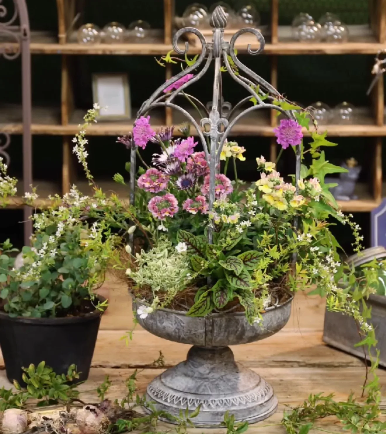 Garden groceries, solid iron bird cage, flower pot stand, flower stand, vine stand, cage.