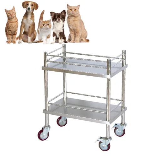 Aeolus Animal Deluxe Mobile Tool Cart with Cabinet Pet Veterinary Tool Cart Dog Medical Trolley for Transparent