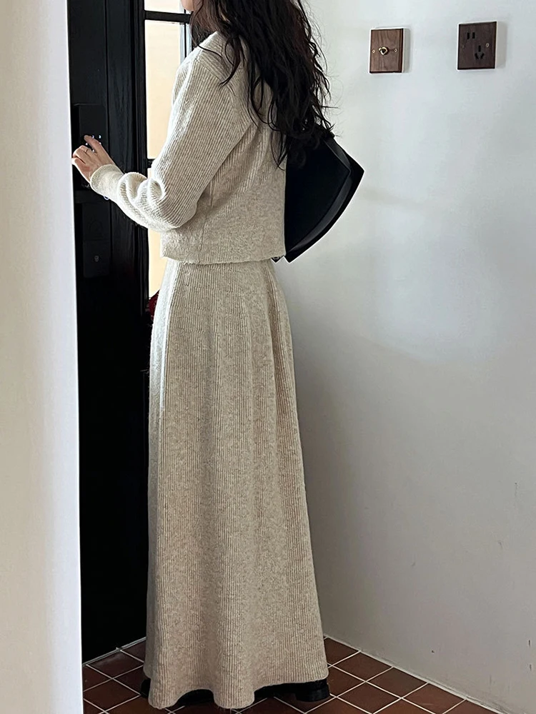 [EAM] Gray Sweater Half-body Skirt Two Pieces Suit New Round Neck Long Sleeve Women Fashion Tide Spring Autumn 2024 1DH6372