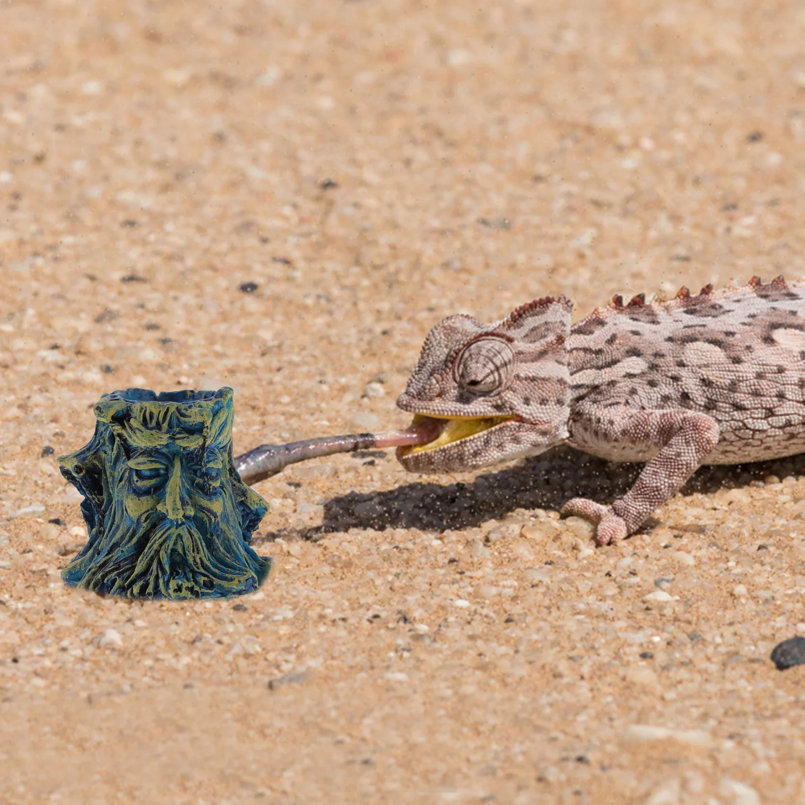 

6Pcs Reptile Food Bowl Resin Reptile Bowls Long-Lasting Non-Toxic Odorless Feeding Container Ideal Size for Gecko Snake Tortoise