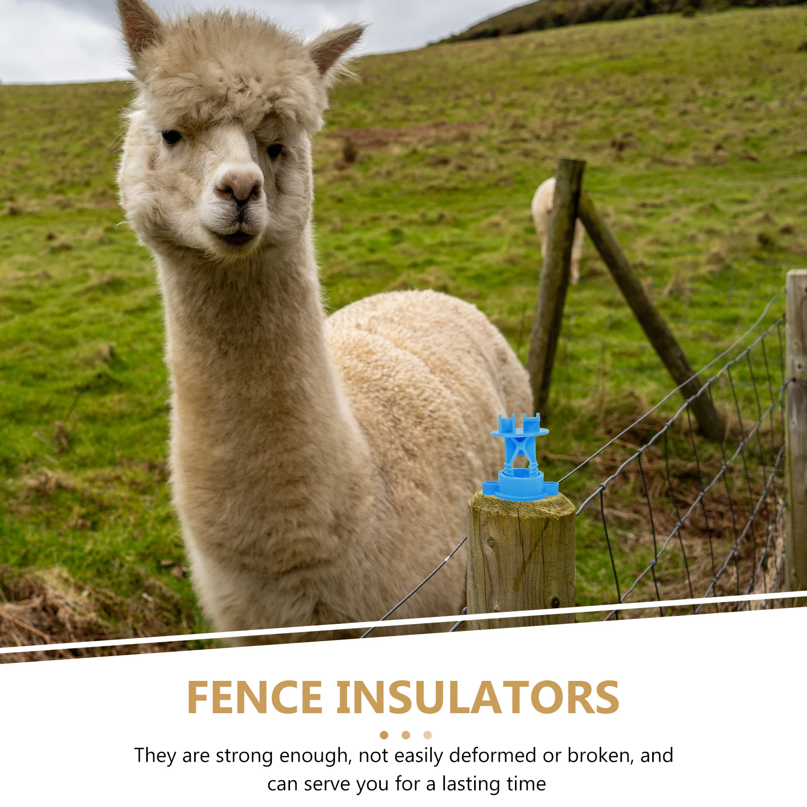 

50Pcs Electric Fence Insulators Long Life Grid System Accessories Replacement Fence Wire Insulators Grid System Accessories