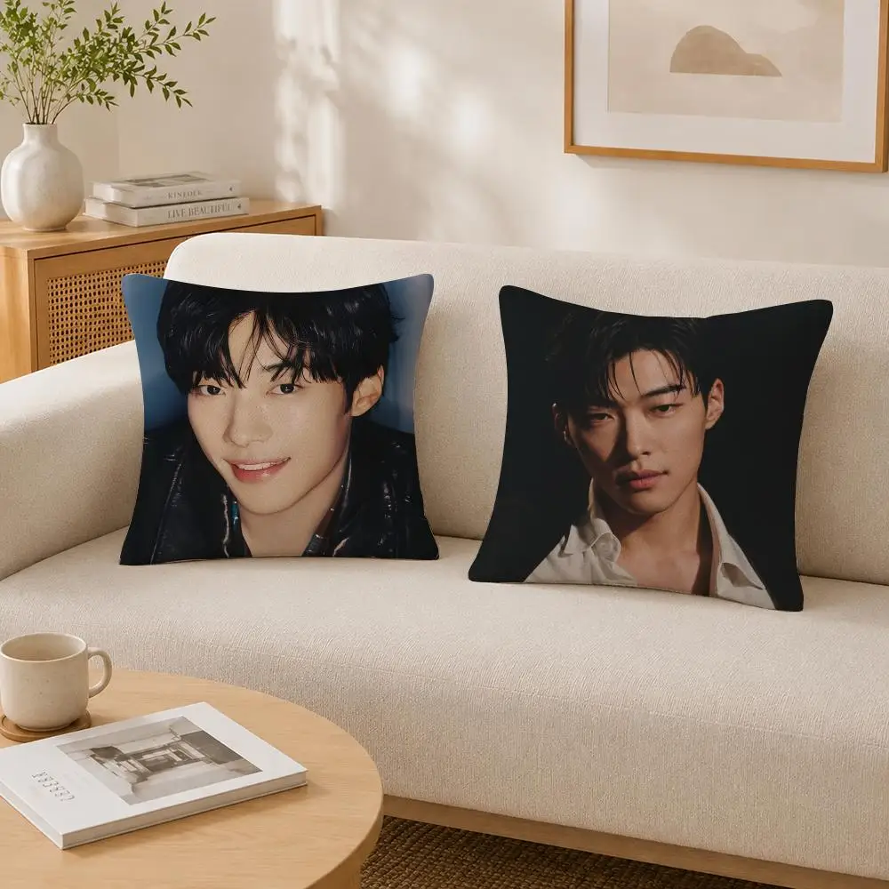Actor Woo Do-hwan Cushion Cover Soft Fluffy Short Plush  Pillow Case  Sofa Bed Home Decor