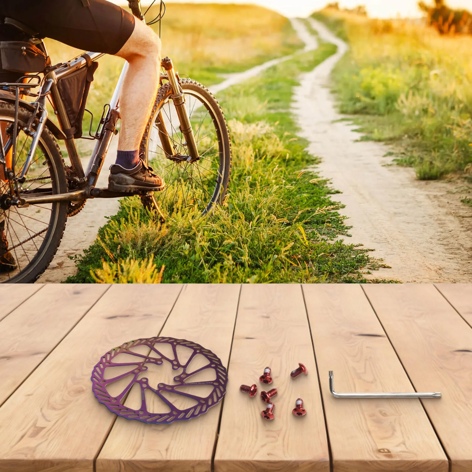 

Bicycle Safety Gear Robust And Reliable Discs With Bolt Set And Tool For The Popular For ROTOR G3 Range In Various Diameters