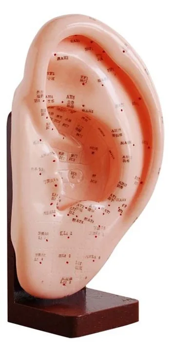 ΠΠΠΠΠΠ¬ ΠΠΠ― ΠΠΠ£ΠΠ£ΠΠΠ’Π£Π Π« Π£Π₯ΠΠ 22 Π‘Π, Ρ ΠΎΡΠ½ΠΎΠ²ΠΎΠΉ, ΠΌΠΎΠ΄Π΅Π»Ρ Π΄Π»Ρ ΠΌΠ°ΡΡΠ°ΠΆΠ° ΡΡΠ΅ΠΉ Π°ΡΡΠΈΠΊΡΠ»ΠΎΡΠ΅ΡΠ°ΠΏΠΈΠΈ ΠΠΠΠΠΠ¬ ΠΠΠ― ΠΠΠ£ΠΠ£ΠΠΠ’Π£Π Π« Π£Π₯ΠΠ 22 Π‘Π, Ρ ΠΎΡΠ½ΠΎΠ²ΠΎΠΉ, ΠΌΠΎΠ΄Π΅Π»Ρ Π΄Π»Ρ ΠΌΠ°ΡΡΠ°ΠΆΠ° ΡΡΠ΅ΠΉ Π°ΡΡΠΈΠΊΡΠ»ΠΎΡΠ΅ΡΠ°ΠΏΠΈΠΈ