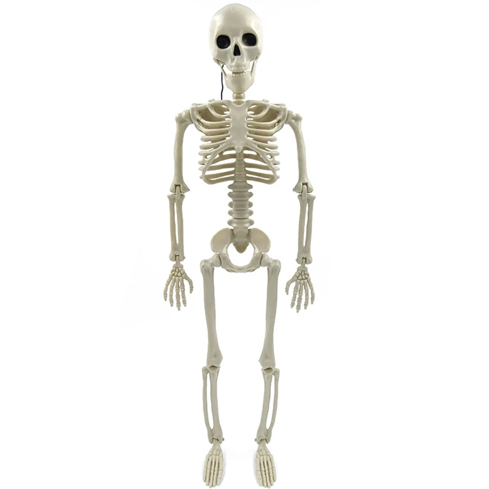 

Halloween Horror Skeleton Statue Movable/Posable Joints Realistic Body Bones Festival Theme for Yard Garden Patio Haunted House