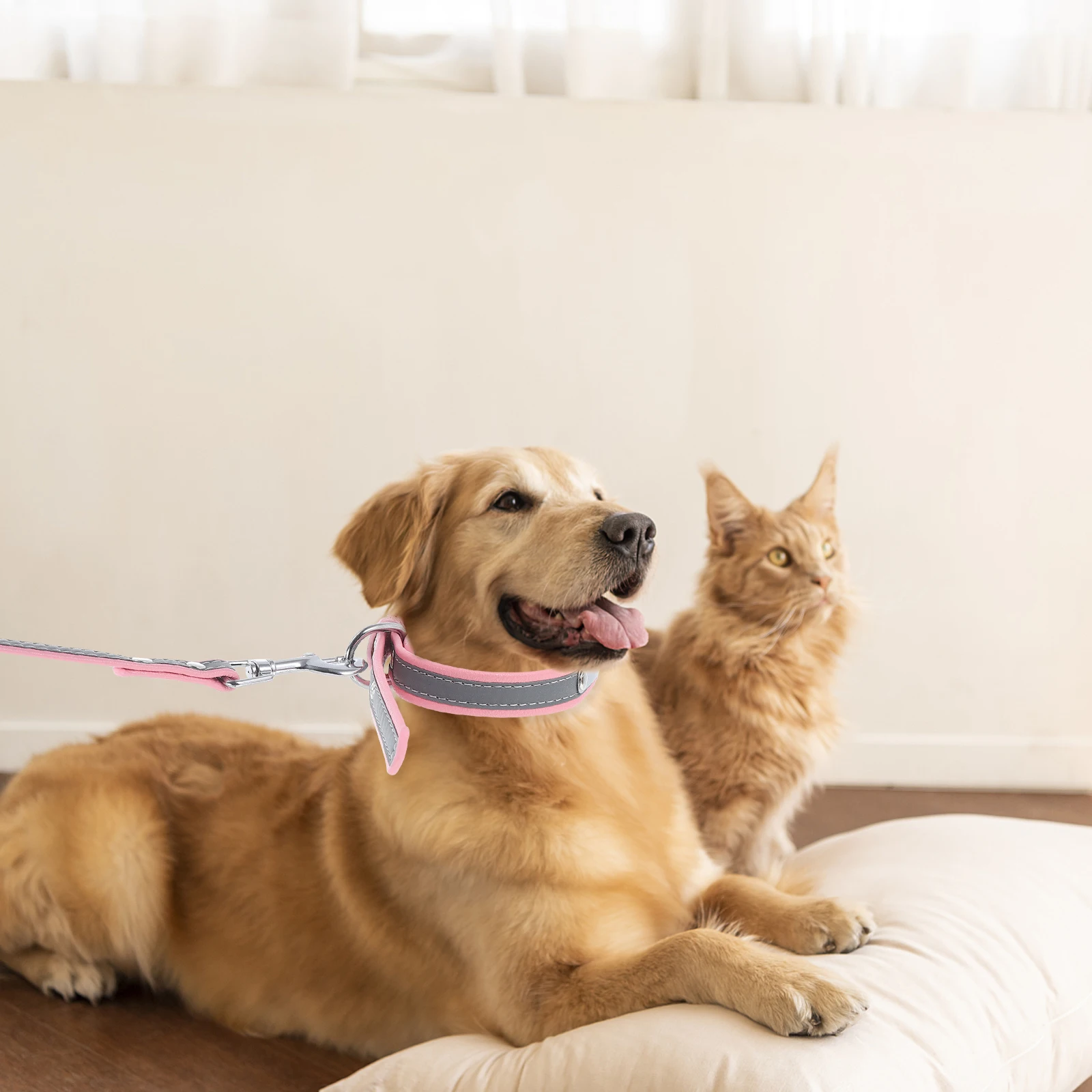 

Pet Collar Dog Leash Reflective Walking Rope Durable Microfiber Puppy Supplies Safety Hauling Breathing Comfortable Gift Choice
