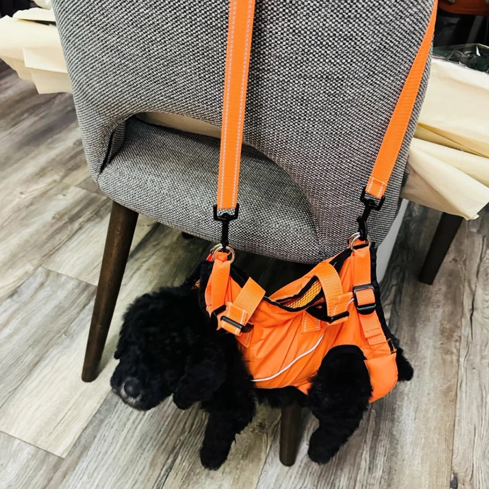 Hochwertige Haustier-Hilfskleidung für ältere Hunde mit Behinderungen, Spaziergänge, Rehabilitationsanzug, Hunde-Übungsunterstützungsgürtel – Detail 12