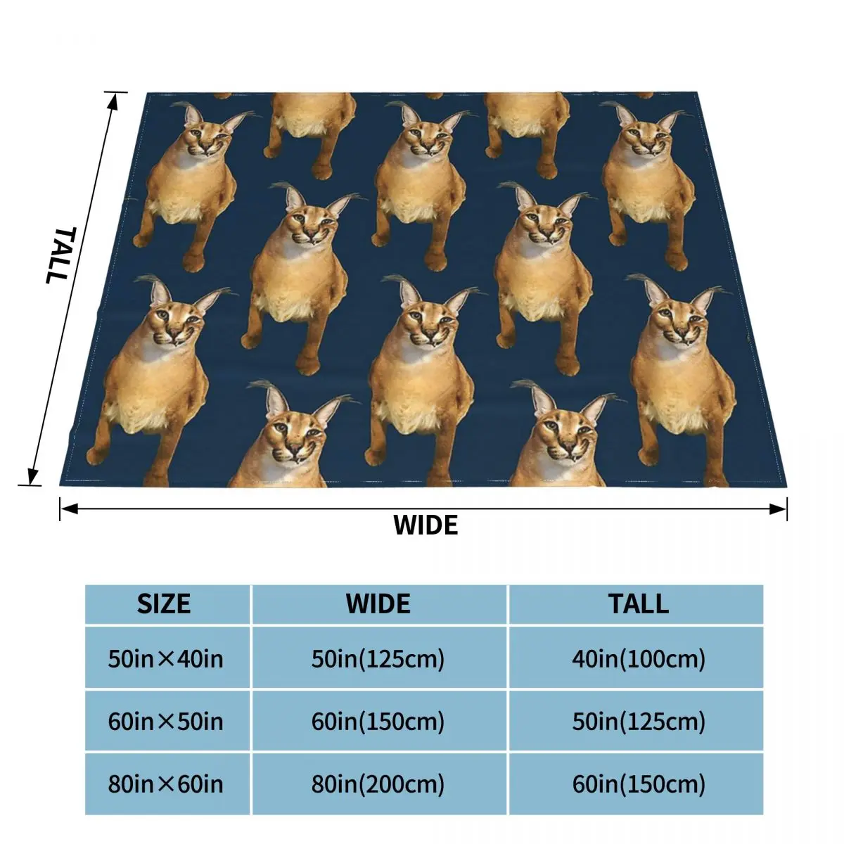 Floppa Smile coperte divertente Meme Caracal Cat peluche coperte copriletto divano decorazione copriletti caldi ultra-morbidi