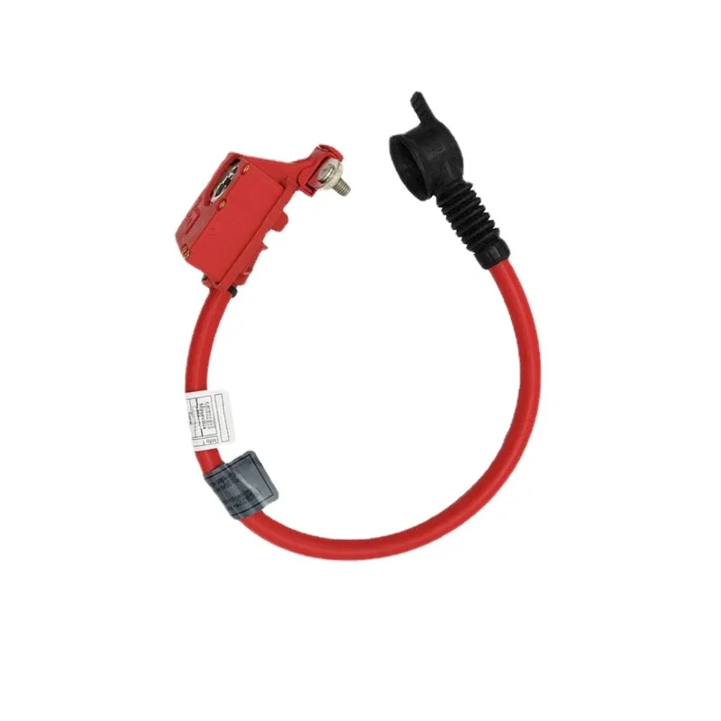 Positive Terminal T…