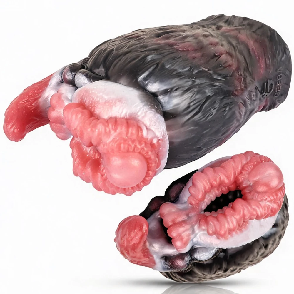 No image