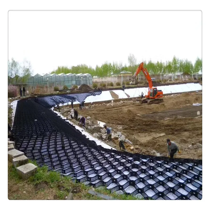 Ground Grid Paver Asphalt Roll Driveway Soil Stabilizers Parking Lot Paving System for Gravel Road view 4