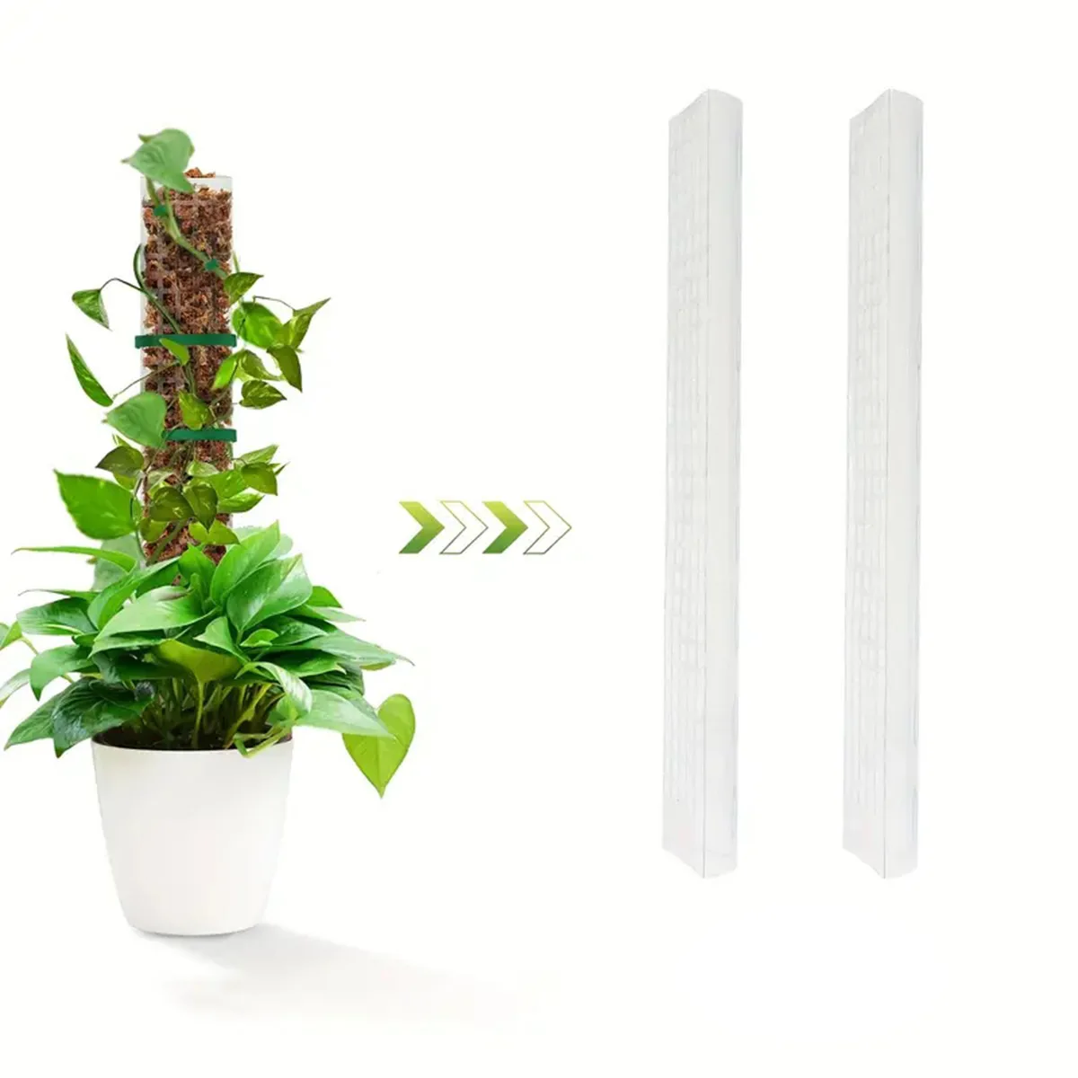 Moss Pole Semi Circle Trellis Plant Support Stick For Monstera Pothos Indoor Garden Decorative Vertical Climbing Stakes