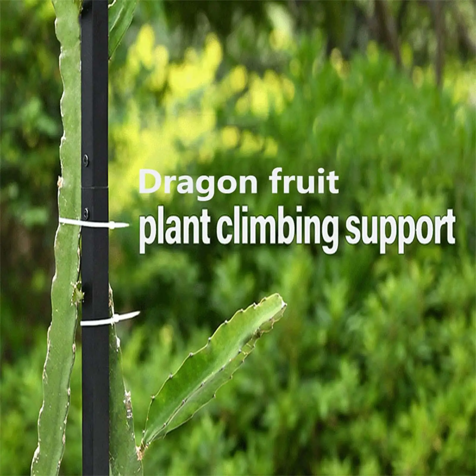 

Металлическая опора для растений: шпалера для драконьего фрукта, поддержка для вьющихся растений в горшках, для овощей, роз, садовых шпалер