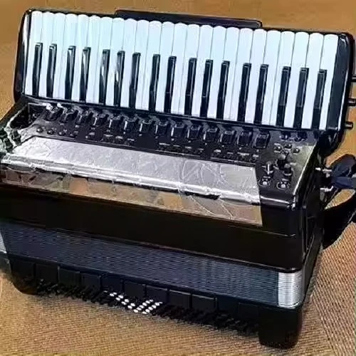 V-Accordion FR-8X Teclado de acordeón negro Instrumento universal