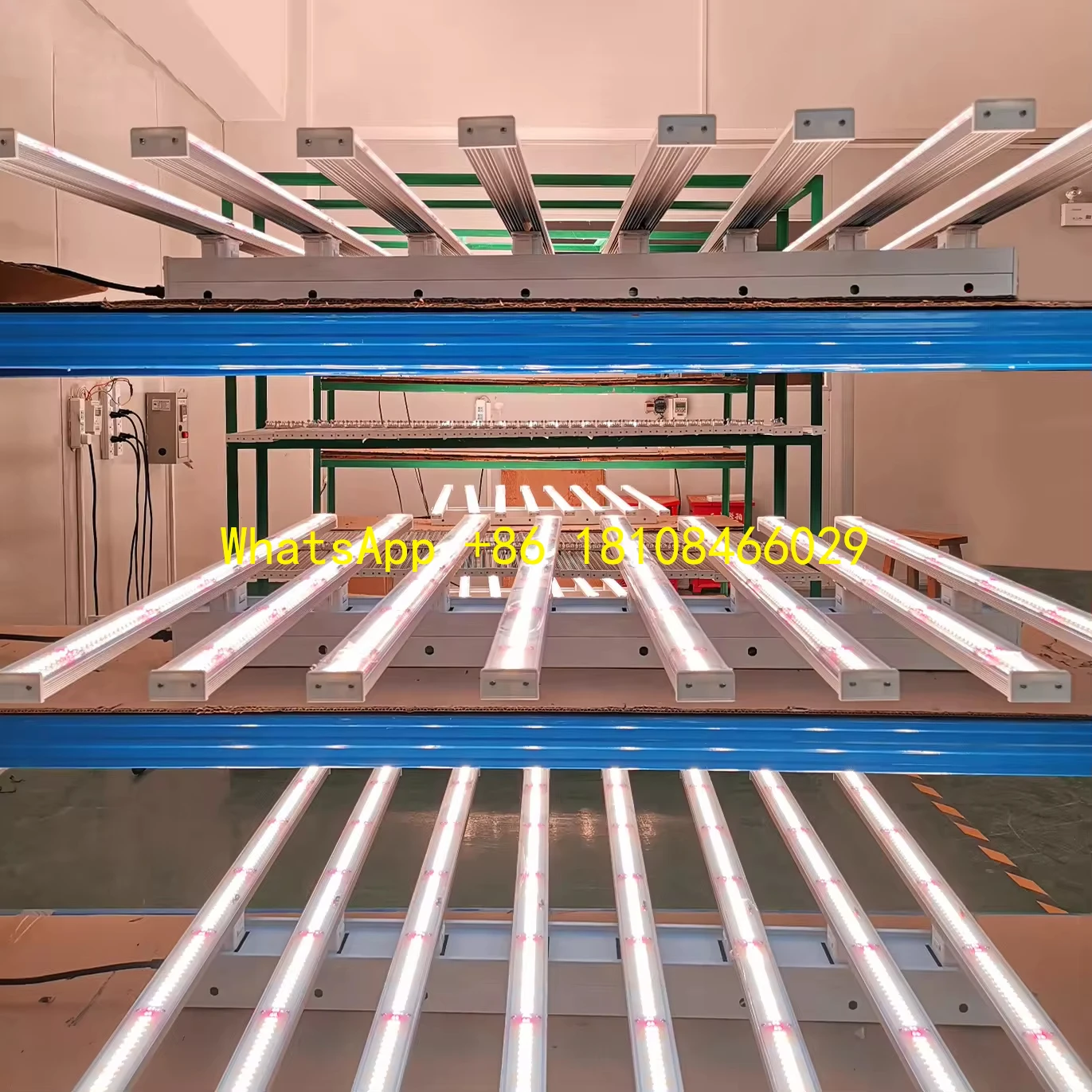 

LED Grow Light for Bloom Greenhouse for Plant Development800w Coverage Growing LED Lamp