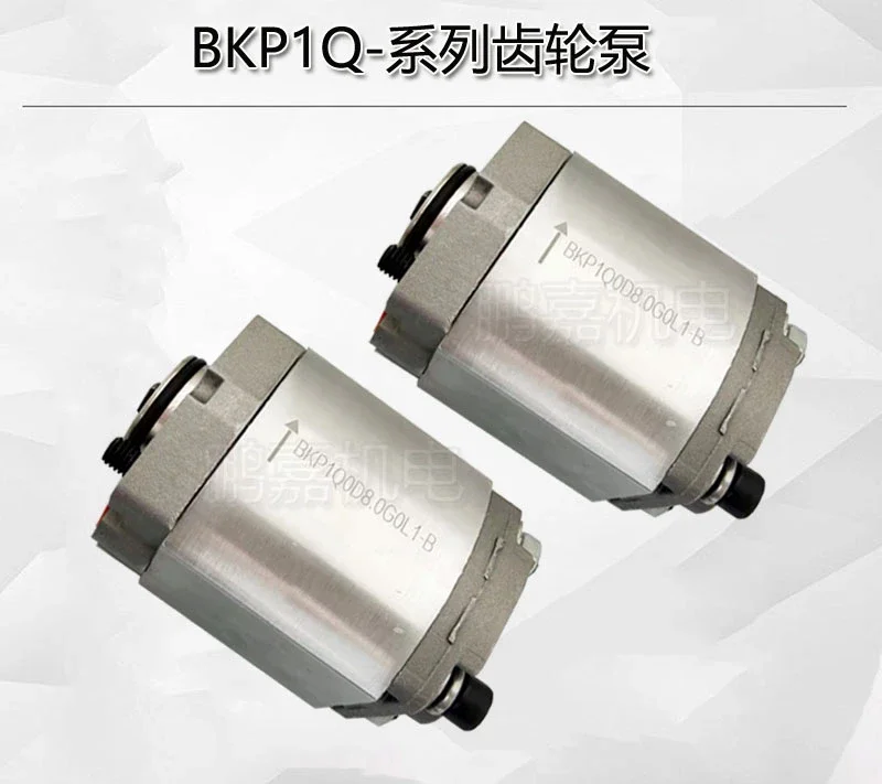 

BKP1Q0D8.0G0L1-B Тайвань Valm масляный насос BKP1Q0S0.8 1 1,6 2,1 2,7 4,2