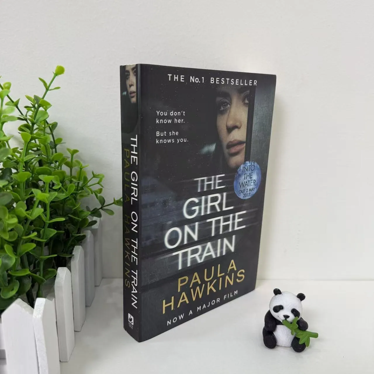 The Girl on the Train, a thrilling and suspenseful English novel