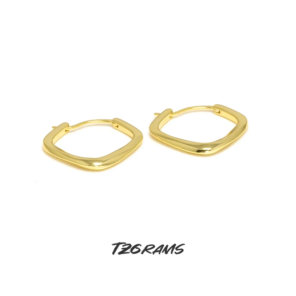 

925 Sterling Silver Geometric Hoop Earrings for Women Gold Plated INS Fashion Minimalist Party Jewelry