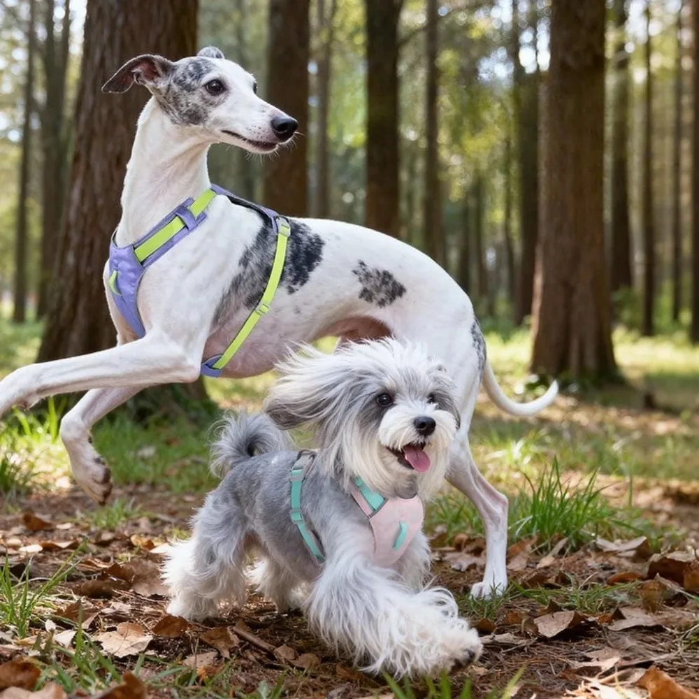 

Lightweight Dog Harness Vest Outdoor Leash Walking Dogs Adjustable Small Medium Dog Pet Harness with Quick-Dry Breathable Design