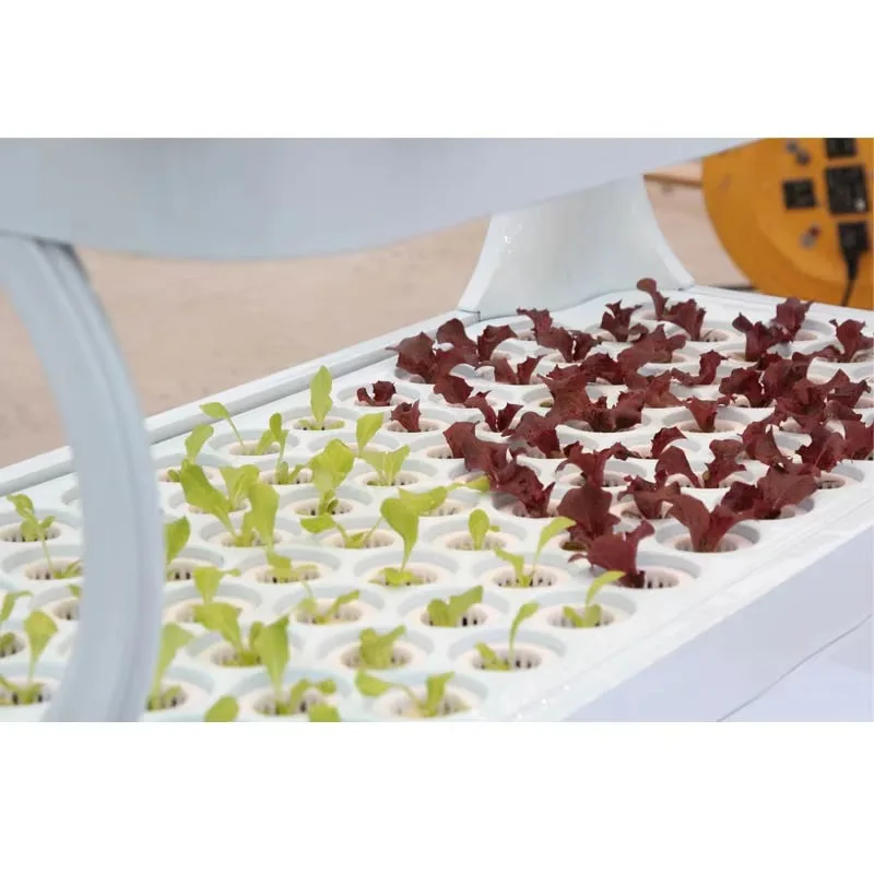 الزراعة المائية الجديدة نظام Aquaponic العمودي نظام الزراعة المائية برج الاستخدام الداخلي #4